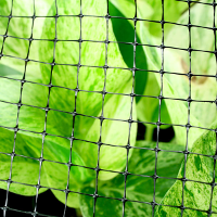 Bird Netting